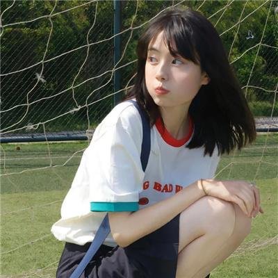 灰狐